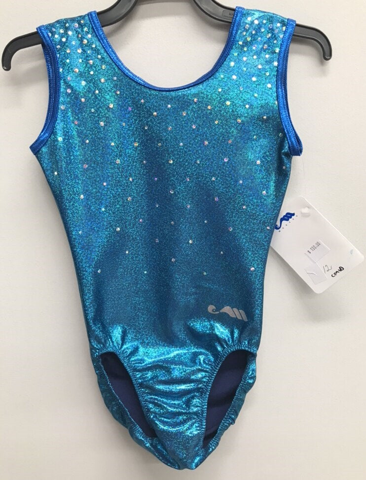 CM10 Blue Leotard