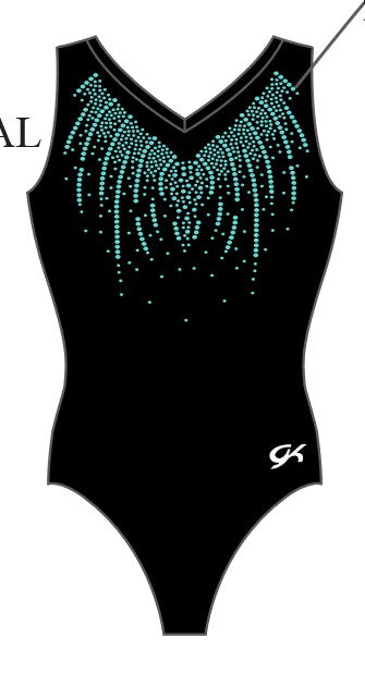Splitz Training Leotard