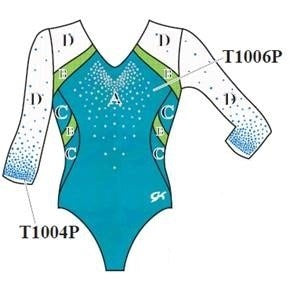 Splitz Level 4-6 Competition Leotard