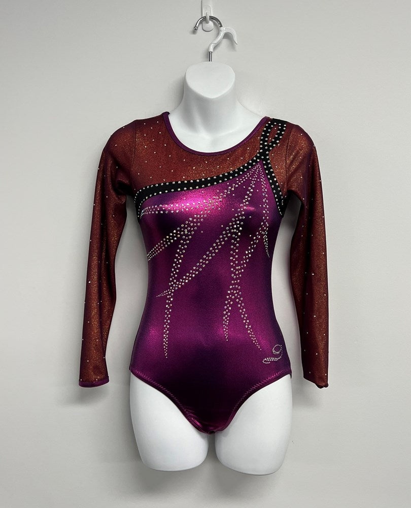 Dreamlight Long Sleeve Leotard