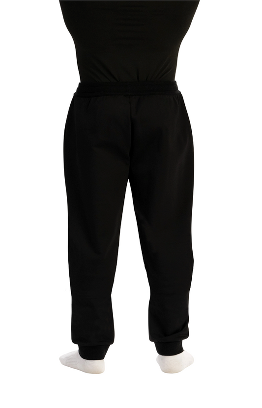 Varsity Men's Jogger Pant