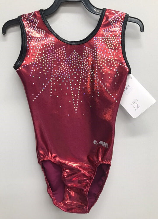 CM01 Maroon/ Black Leotard