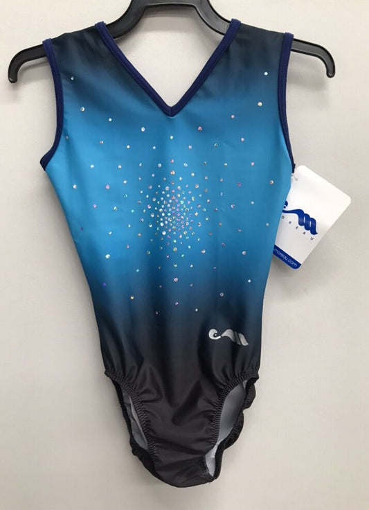 CM15 Blue/ Black/ Navy Leotard