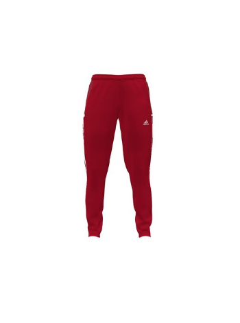 miTeam T19 Track Pants Youth