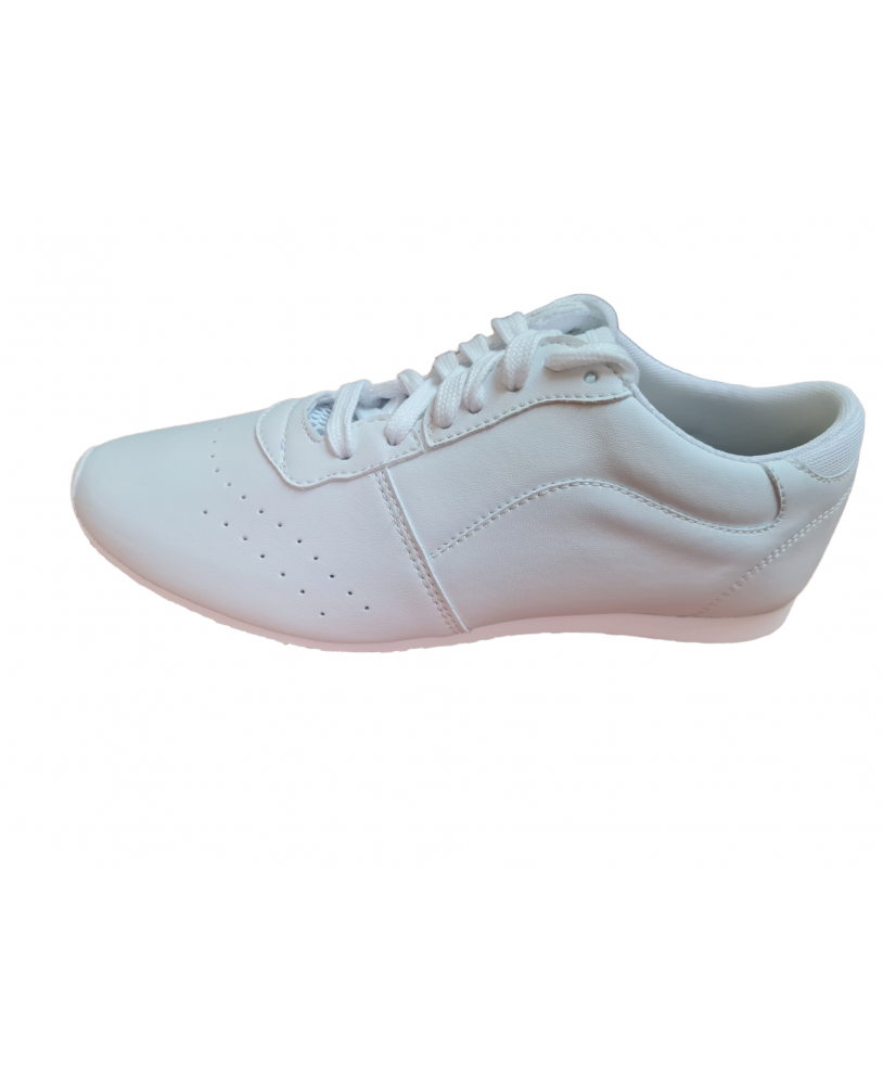 Aerobic Shoes AER8 EVO COMP (FIG) – Pro Sportswear